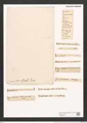 Nitzschia navicularis (Breb.) Grun. (de-Toni-Nr.: Genus 47, Species 1995) Zeichnungen Sammlung Grunow (NHMW-BOT-W0371678)